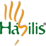 Hábilis Consultoria